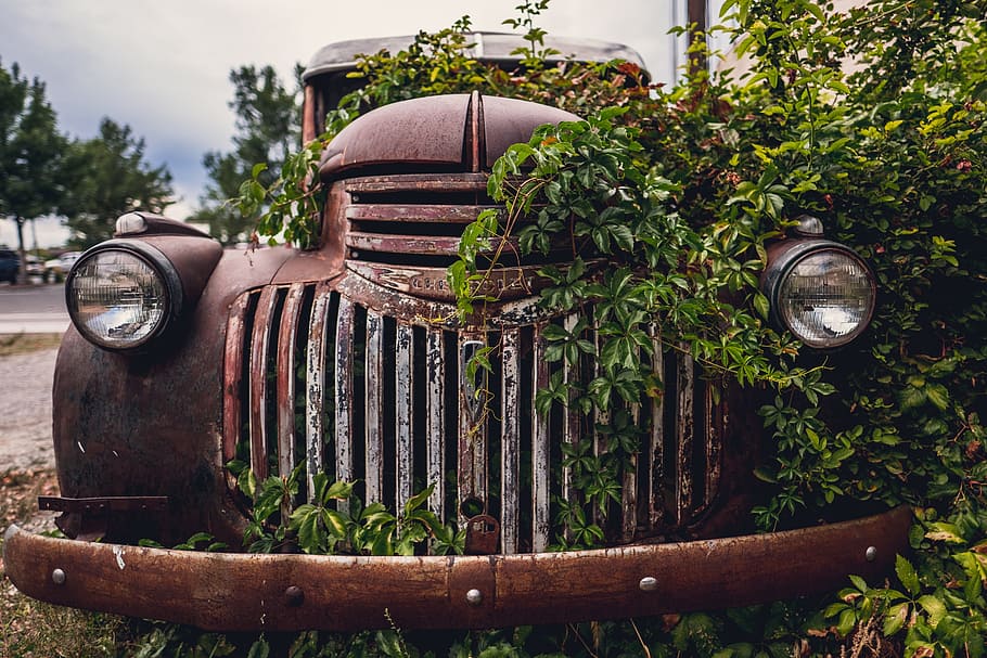 stel, metal, headlight, old, rusty, car, vine, green, plant HD wallpaper