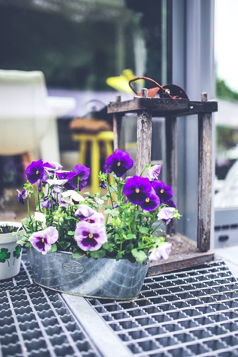 Old lantern & pansies, backyard, beautiful, bright, color, decor HD wallpaper