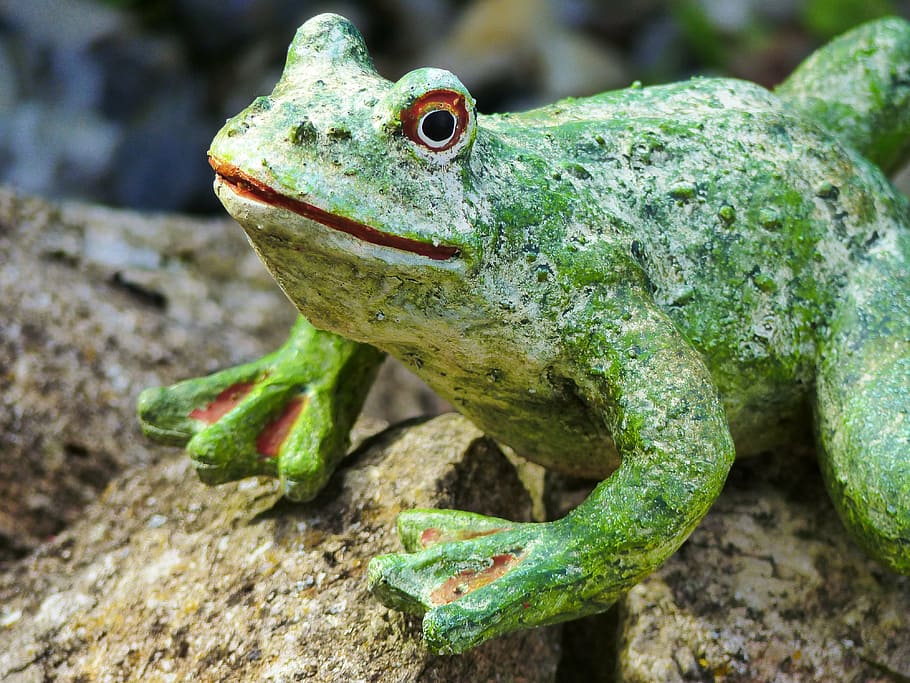 frog, gartendeko, figure, pond, decoration, froschdeko, ceramic HD wallpaper
