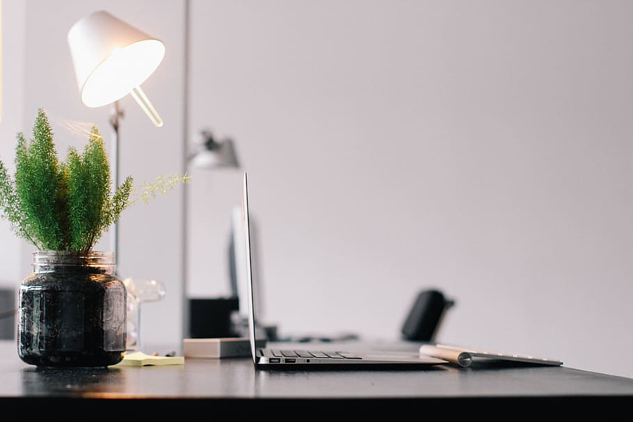 green potted plant near clear glass pot beside MacBook Air during daytime HD wallpaper