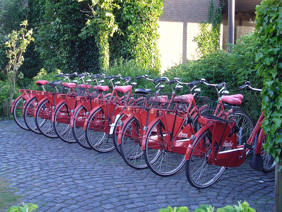 bikes, bicycle hire, red, tourism, norderney, series, transportation, HD wallpaper