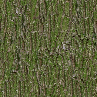green moss, Bark, Texture, Albedo, tileable, base, color, basecolor HD wallpaper
