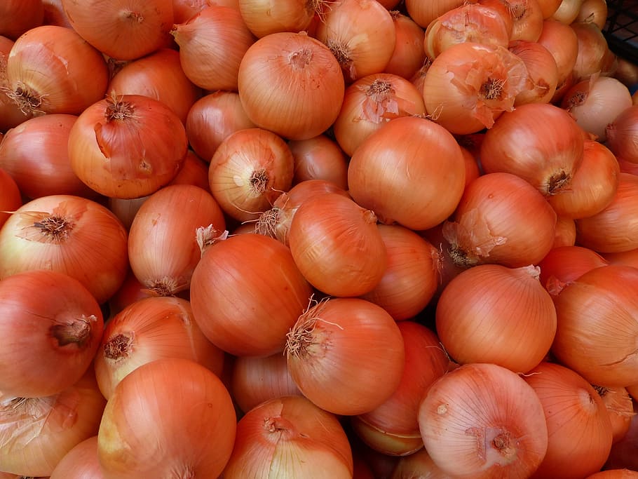 white onion bulb lot, vegetables, shell, brown, food, food and drink HD wallpaper