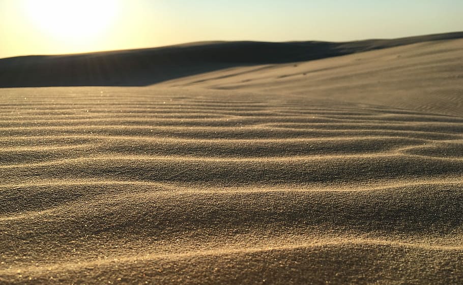 grey sand, field of desert, dune, landscape, terrain, sandy, beach, HD wallpaper