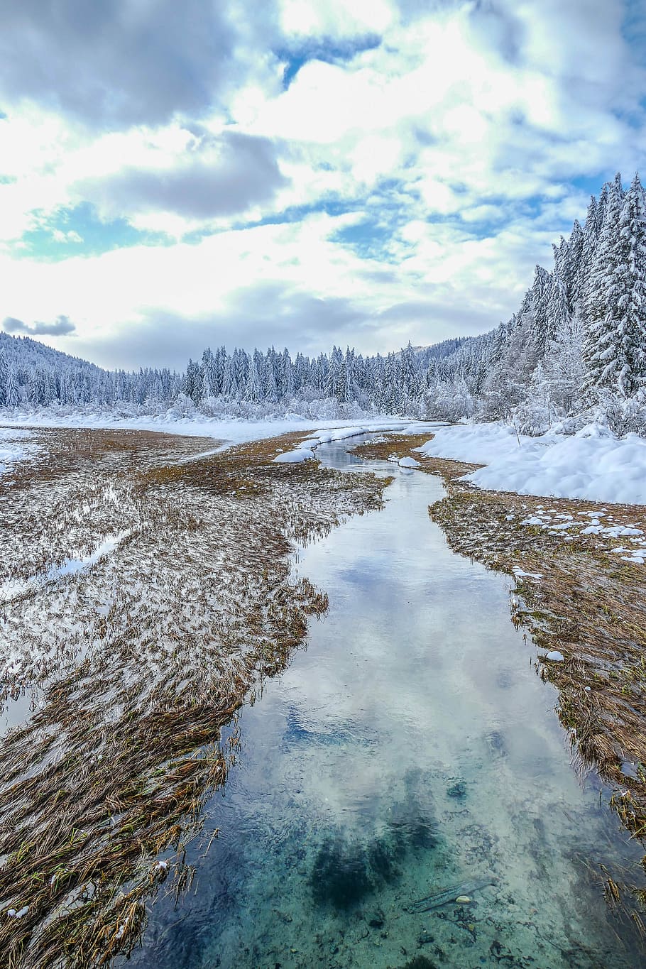 snow covered forest photo, snow cover mountain photography, landscape HD wallpaper