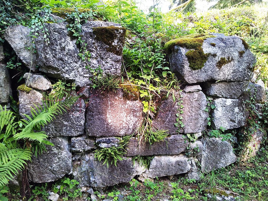 rocks, wall, alpines, solid, plant, rock - object, nature, day HD wallpaper
