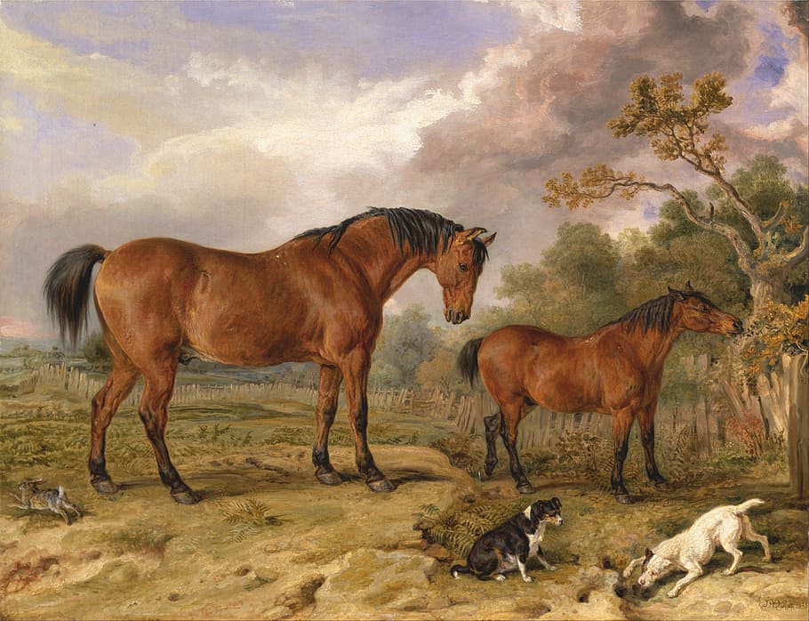 two brown horses and two dogs near trees painting, james ward