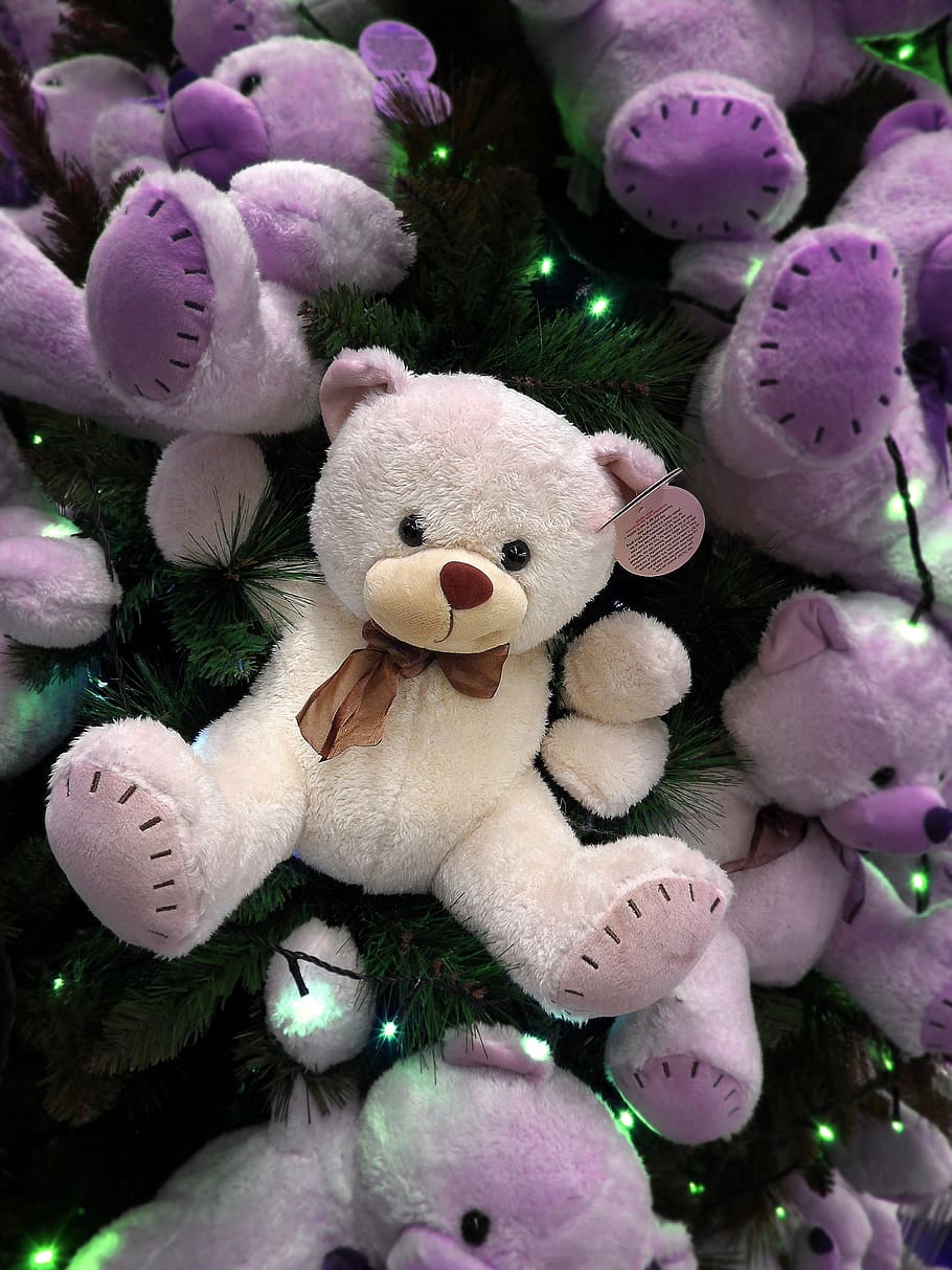 brown and purple bear plush toy hanging decor lot, Bear Cub, Christmas, HD wallpaper