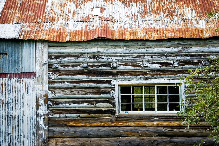 green leafed tree in front of wooden structure, photo of windowpane house HD wallpaper