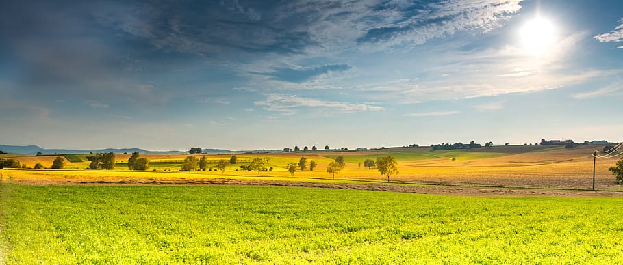 green field near trees under blue sky, landscape, spring, fields HD wallpaper