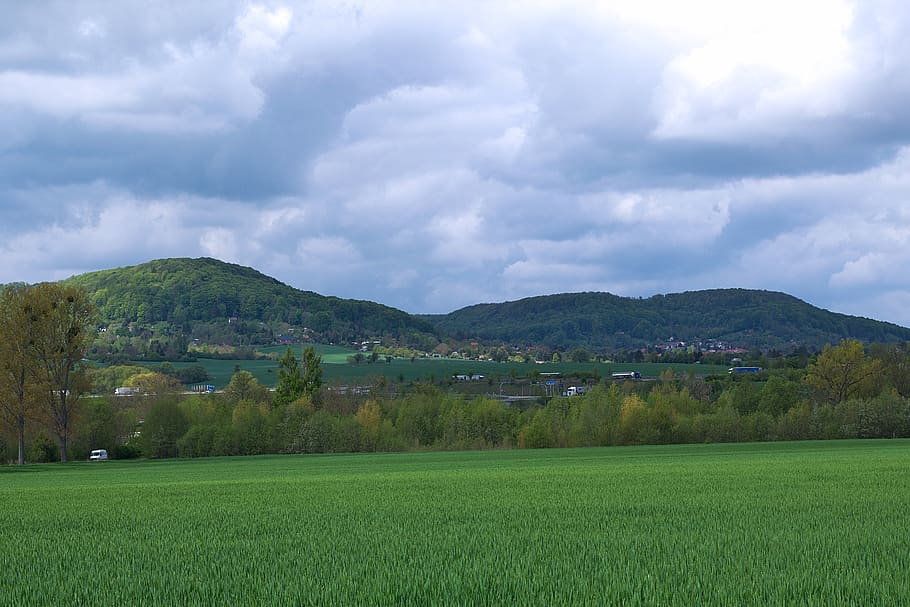 panorama, fields, forest, mountains, scenic, green, cloud - sky HD wallpaper