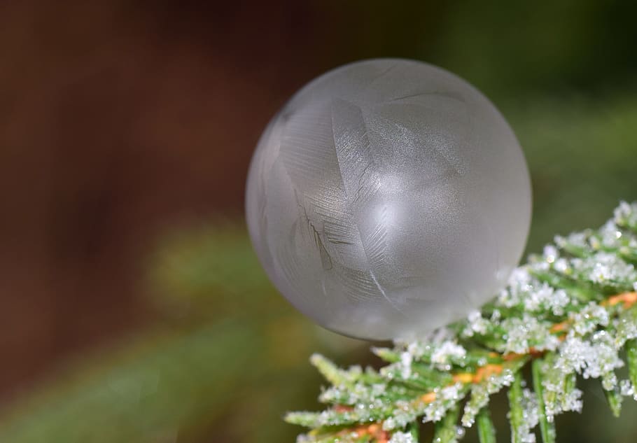 bubble, soap bubble, frozen, winter, cold, ice, frozen bubble HD wallpaper