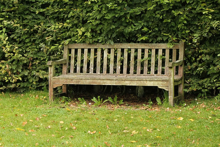 Bench, Nature, Outdoor, Peaceful, summer, green color, grass HD wallpaper