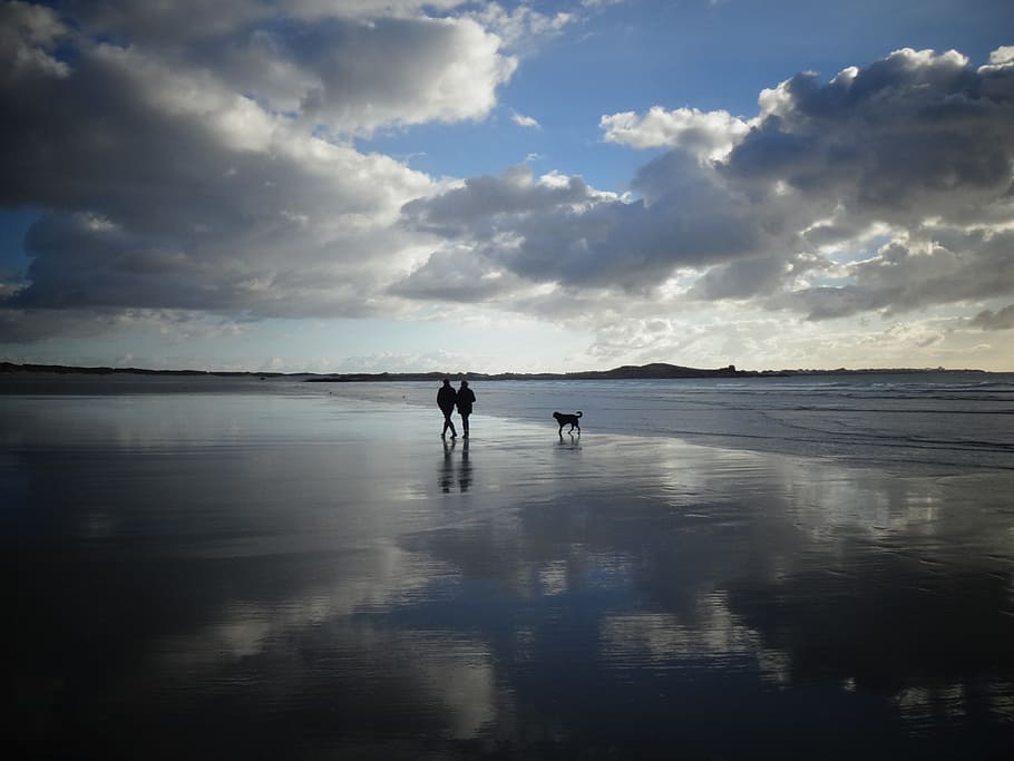 sea, landscape, nature, sky, animal, beach, clouds, dog, people HD wallpaper