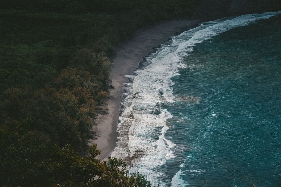 aerial view photography of body of water and green leafed trees, blue and white beach near trees HD wallpaper
