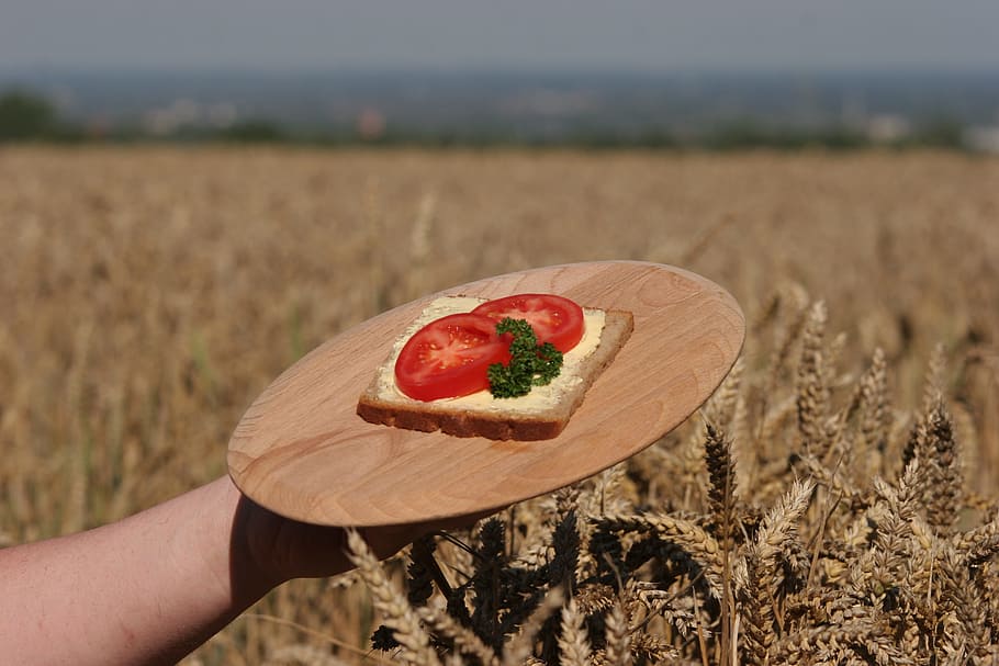 Bread, Grain, Cereals, Nutrition, Rye, agriculture, flour, of course HD wallpaper