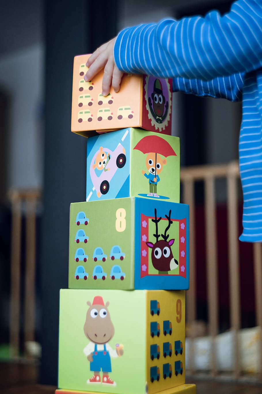 child building an four boxes, focus photo of toddler standing in front of assorted-color building blocks HD wallpaper