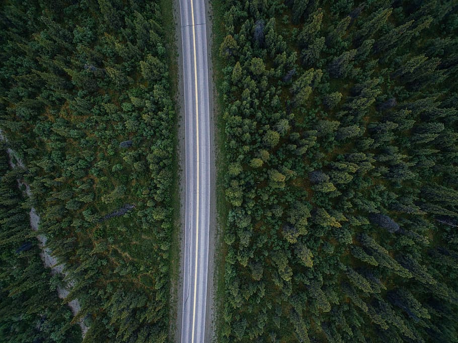aerial view photography of time-lapse cars on road near trees, gray asphalt road surrounded by green leafed trees HD wallpaper