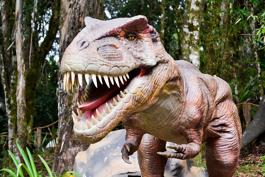 Dinosaur, Robot, Jurassic, one animal, mouth open, animal wildlife HD wallpaper