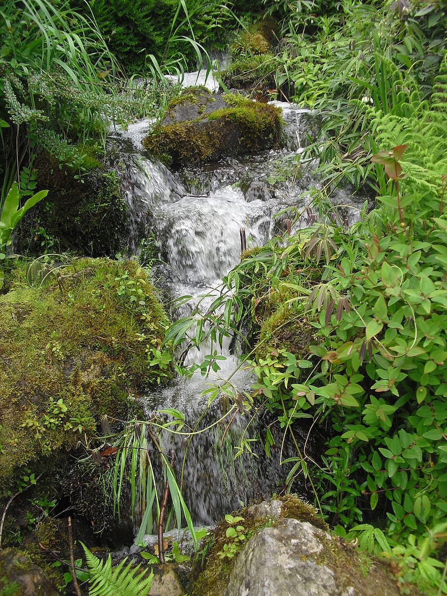 waterfall, park, forest, mountains, nature, green, spring, rocks HD wallpaper