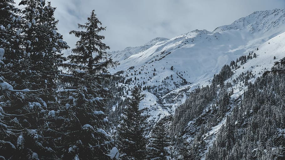 green trees and mountain while snow at daytime, winter, nature HD wallpaper