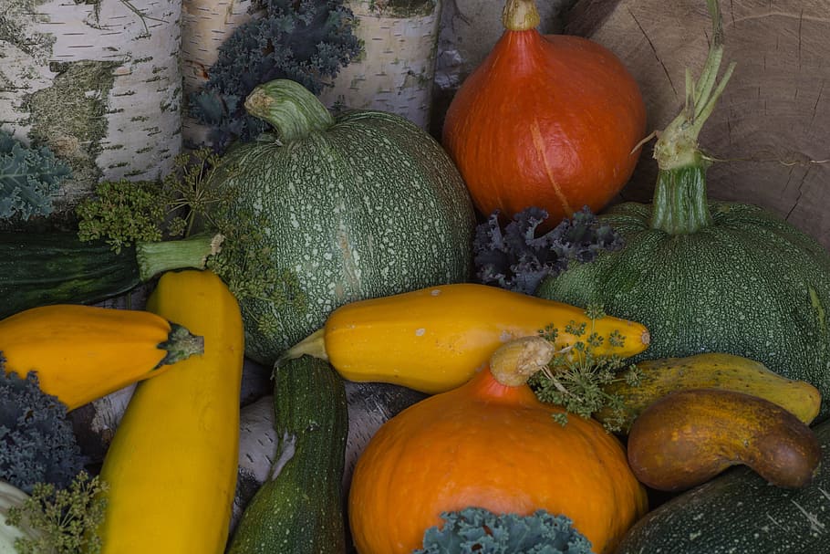 Still Life, Fruit, Pumpkins, vegetable, autumn, squash - Vegetable HD wallpaper