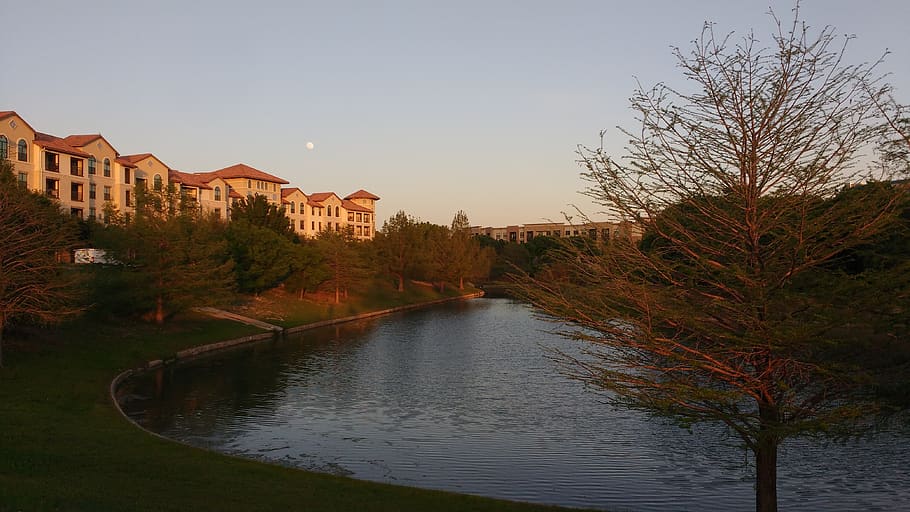 lake, apartment, sunset, water, tree, sky, plant, building exterior HD wallpaper