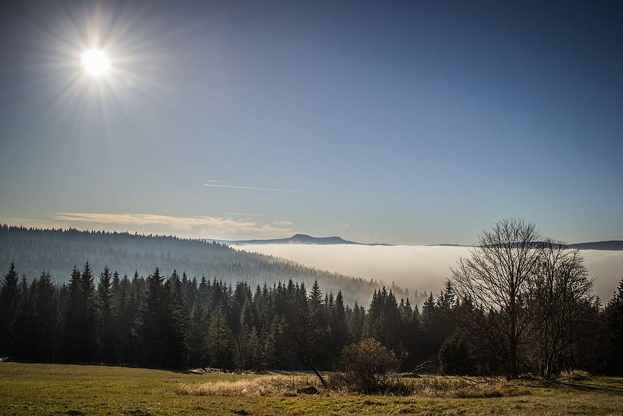 inversion, šumava, landscape, panorama, sun, tree, sky, scenics - nature HD wallpaper