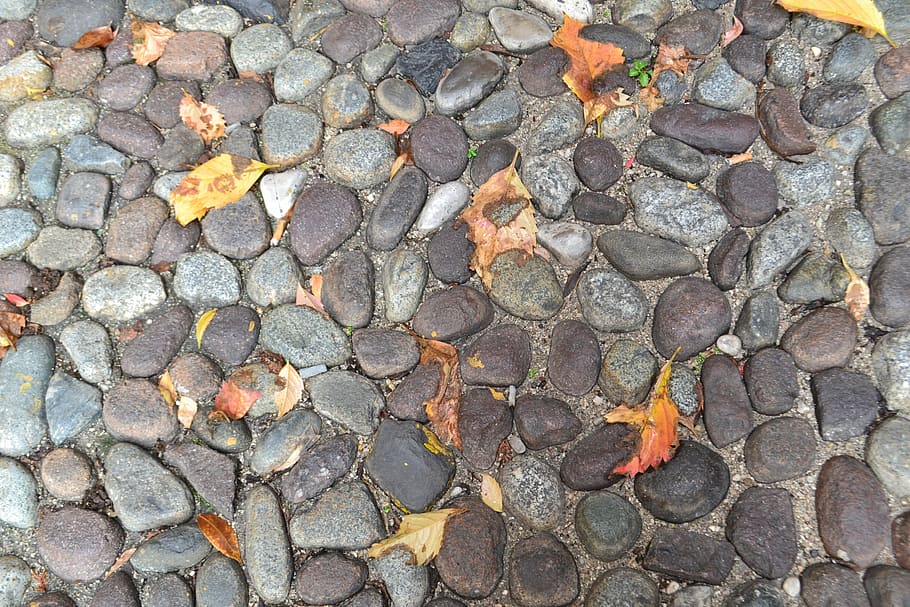 pavers, fall, leaves, texture, stones, dead leaf, day, street HD wallpaper