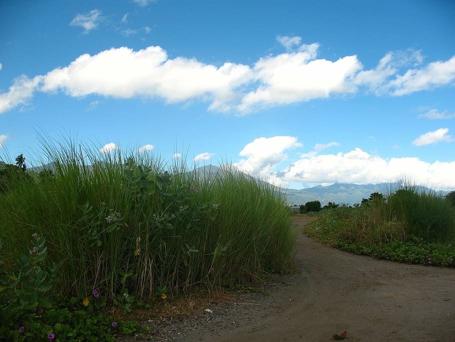 long road, cloud, sky, mountain, grass, landscape, plant, cloud - sky HD wallpaper