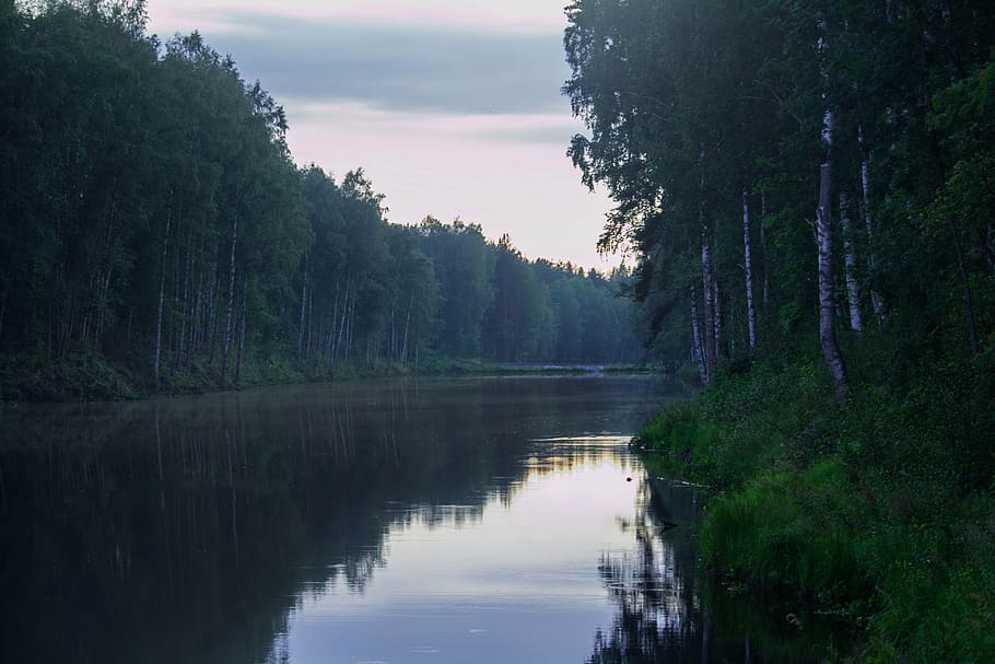 calm water of lake surrounded with trees during daytime, nature HD wallpaper