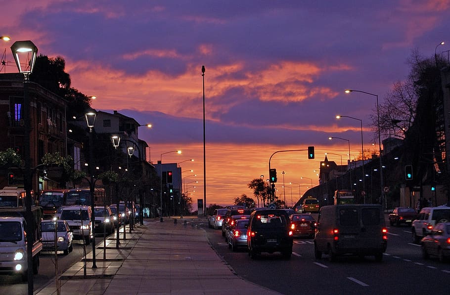 cars on the road, viña del mar, chile, sunset, city lights, street, HD wallpaper