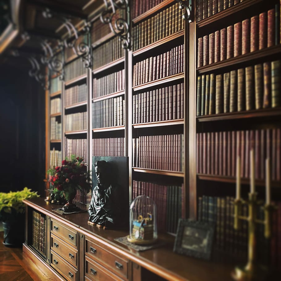 books in brown bookshelf, tilt-shift photography of head bust on hutch HD wallpaper