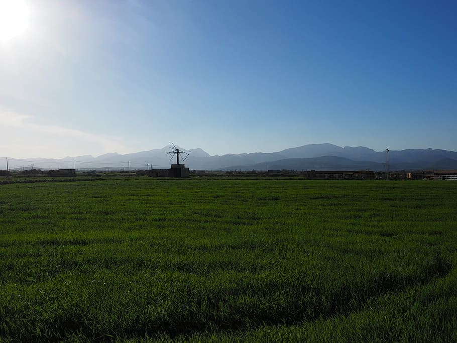 windmill, old, lapsed, ruin, mallorca, muro, wind energy, wing HD wallpaper