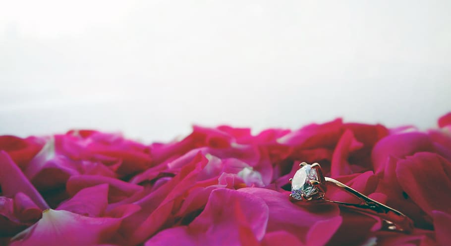silver-colored ring with clear gemstone, Wedding, Light, Soft HD wallpaper