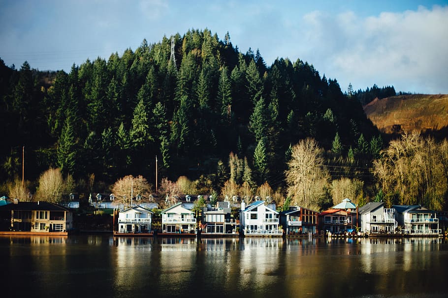 Houses near water, landscape, lake, nature, reflection, outdoors HD wallpaper