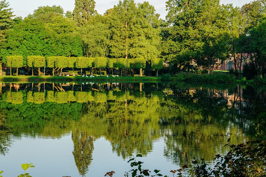 lake, mirroring, trees, water, landscape, nature, reflections HD wallpaper