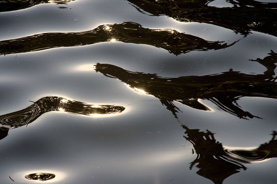 body of water, mirroring, lichtspiel, reflections, wave, nature HD wallpaper
