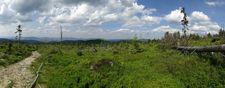 turbacz, hot, poland, landscape, mountains, nature, day, sky HD wallpaper