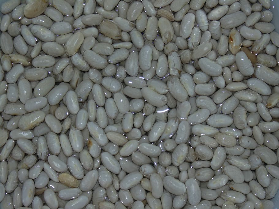 Beans, Water, White, large group of objects, abundance, full frame HD wallpaper