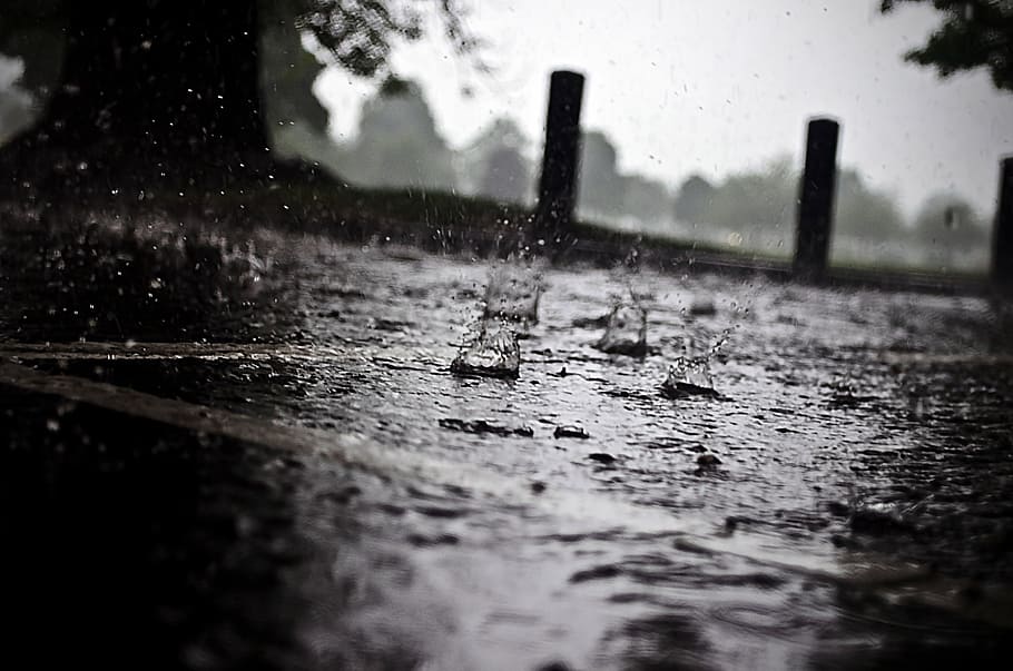rain, raindrops, seasons, water, macro, element, cloud, precipitation HD wallpaper