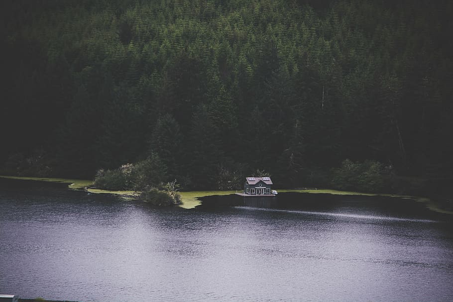 beach, daylight, environment, forest, house, island, landscape HD wallpaper
