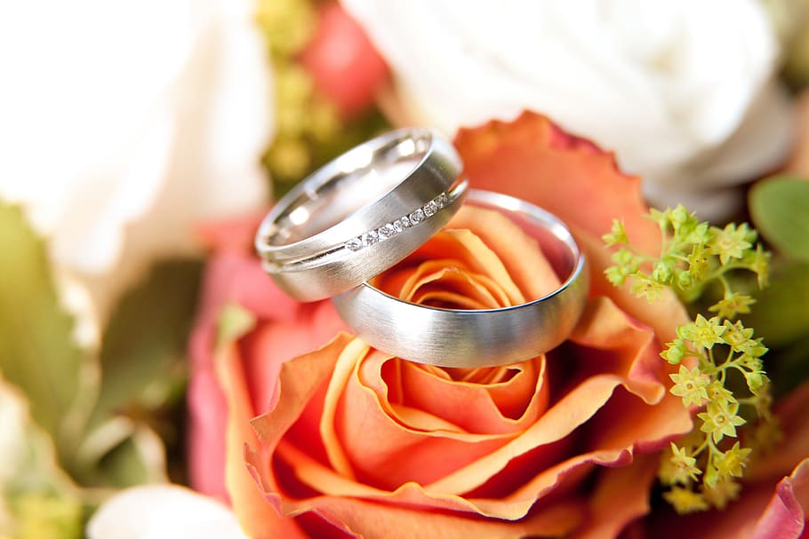 Rings for wedding, various, rose - Flower, close-up, no People HD wallpaper