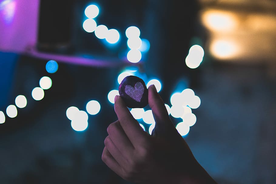 selective focus photography of person holding cookie, person holding heart cookie HD wallpaper