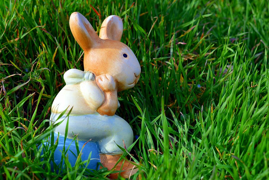 brown, white, and blue ceramic rabbit figurine on green grass at daytime