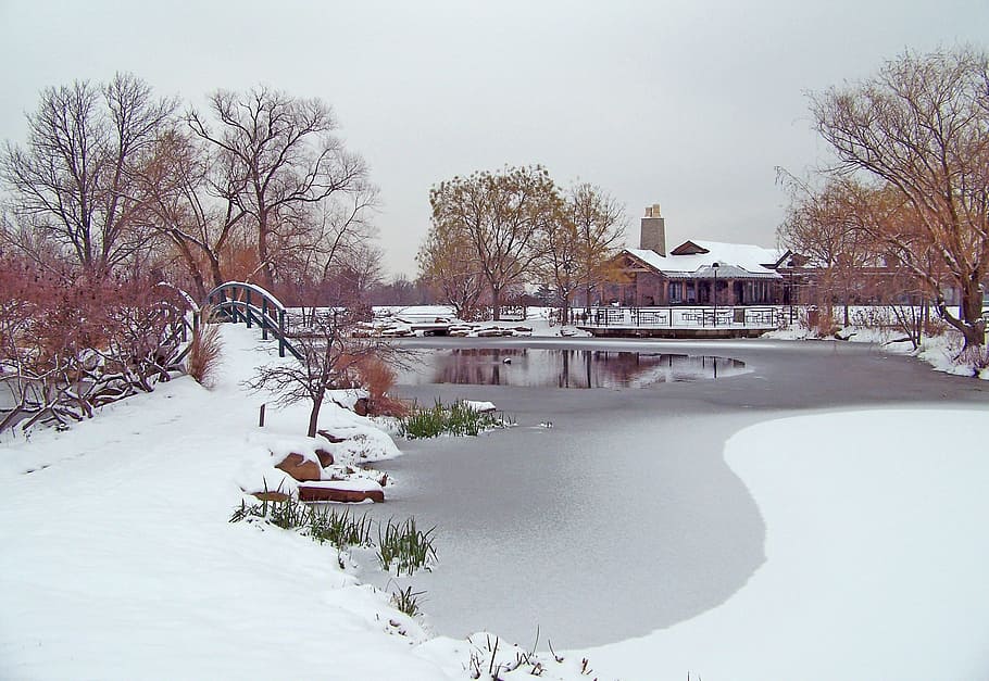 frozen, pond, winter, ice, snow, trees, bridge, built structure HD wallpaper