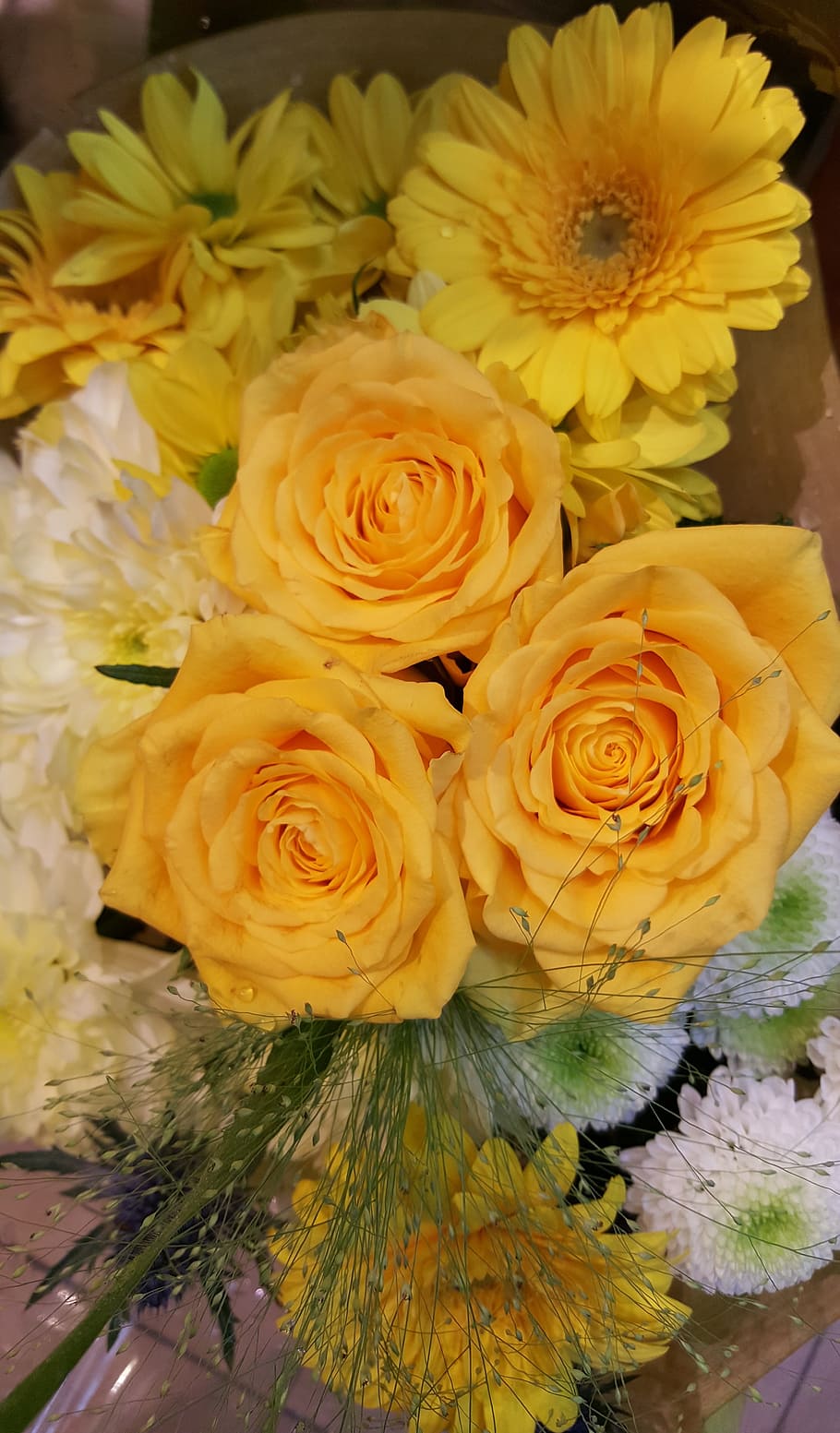 yellow, rose, bright, close, rose yellow, petals, nature, yellow roses HD wallpaper