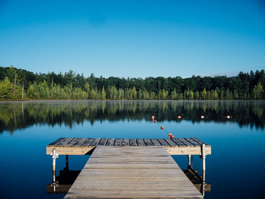 brown wooden dock near calm body of water surrounded by trees, brown wooden dock on body of water HD wallpaper