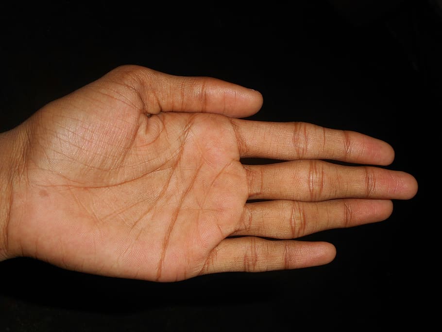 hand, fingers, digits, palm, thumb, symbol, human Hand, people HD wallpaper