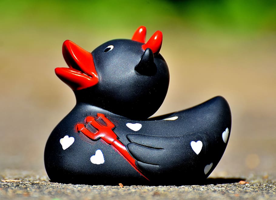 Devil, Duck, Rubber, Cute, quietscheente, pair, shoe, black color HD wallpaper